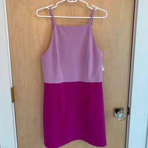 French Connection Whisper Colorblick Minidress